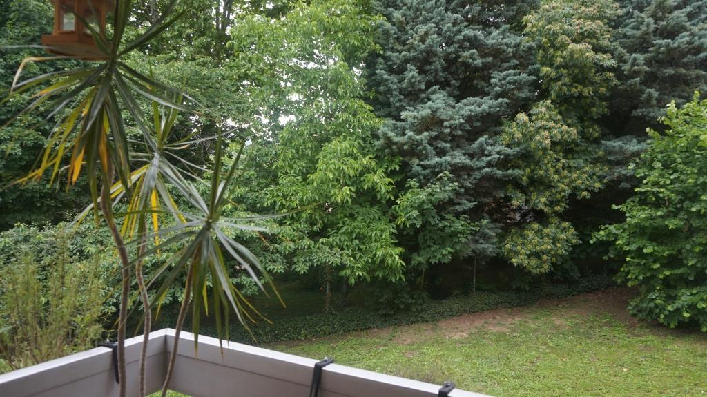 assainissement 69270